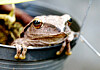 Looks like JFrog’s 0-days let OpenAI’s models hack Hugging Face